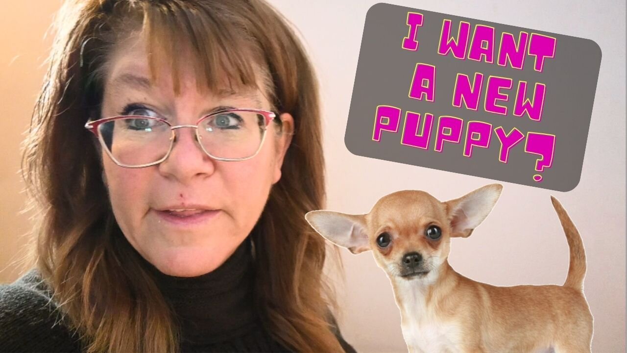 I Want A New Puppy!