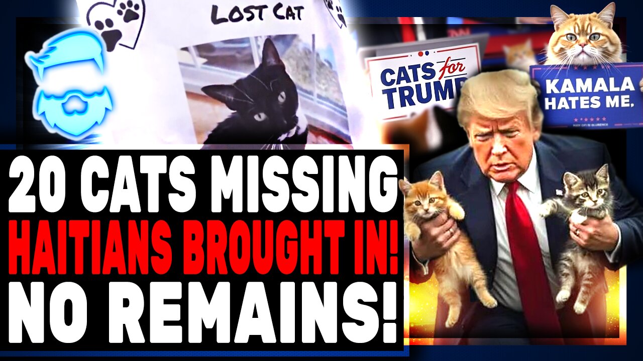 20 Cats Missing From Small Maine Town After Migrants Move In! No Bodies, No Trace At All!