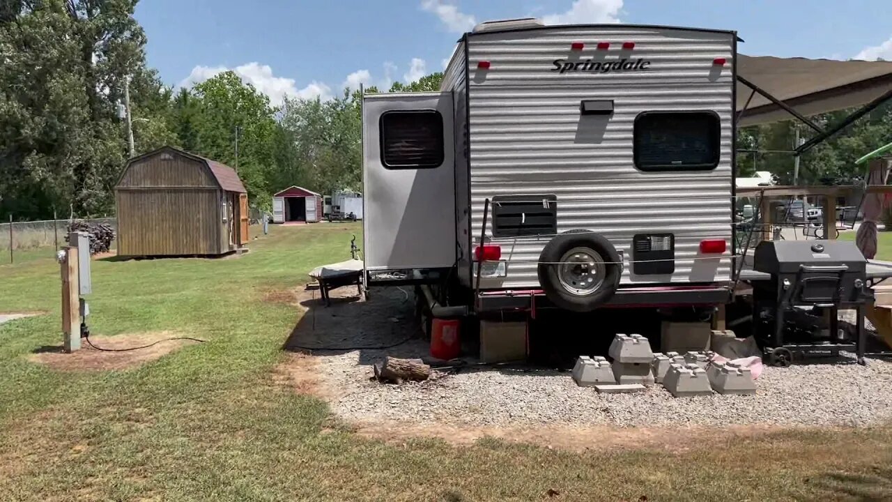 New neighbors at the lake