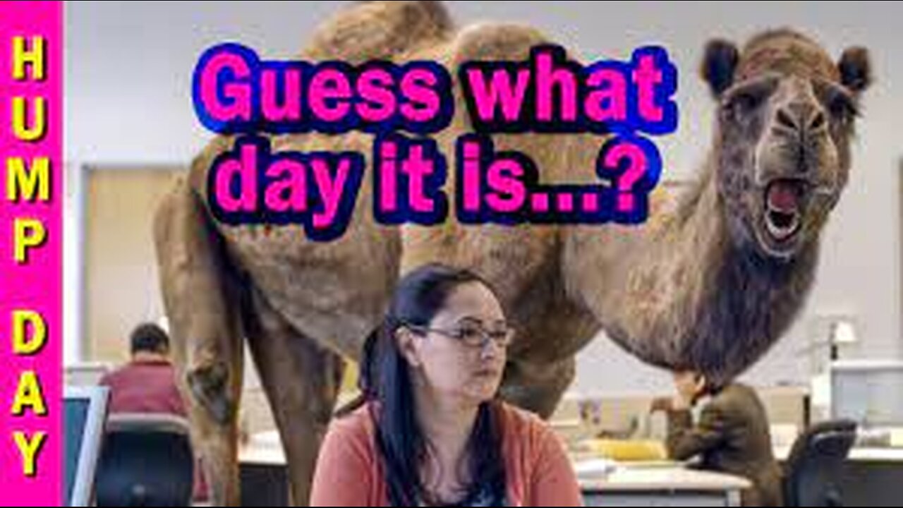 GUESS WHAT DAY IT IS!!!! 🤦 ♀ 🤦 ♀ 🤣