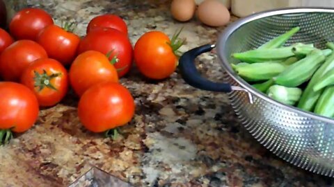 Vegetable Harvest