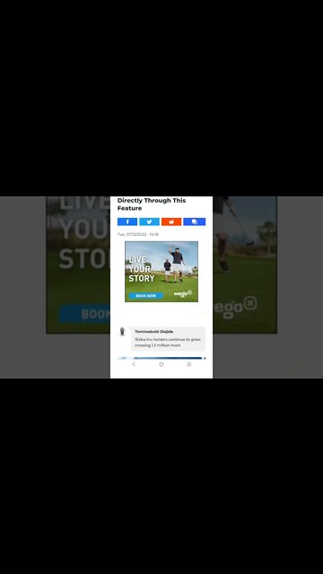 Shiba Inu: Businesses Can Now Accept SHIB for Fiat Directly Through This Feature #cryptomash #shiba