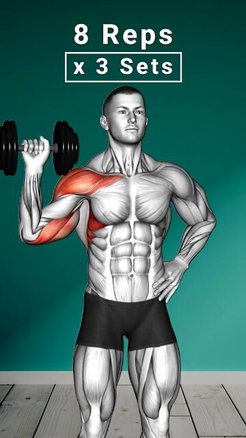 Dumbbell Arm Workouts