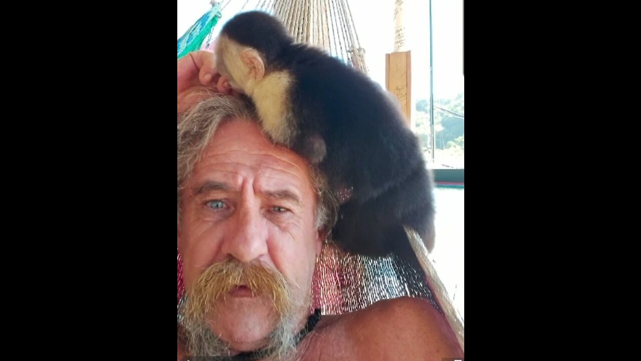 Monkey love is tough love