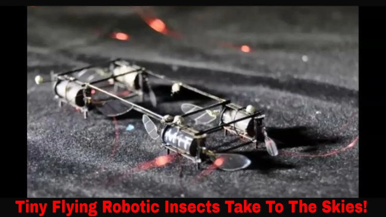 Robots As Small As Tiny Insects Take To The Skies!