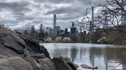 Cherry Hill from The Lake