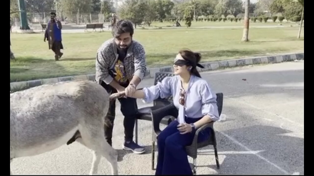 This girl put her hand in the donkey