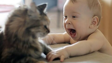 Baby playtime with cat