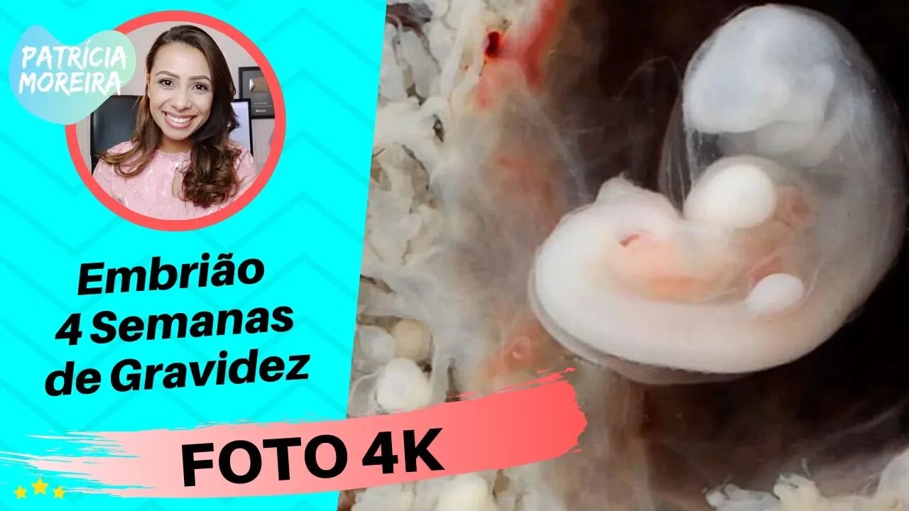 FOTO 4K - 4 Semanas de Gravidez | Boa Gravidez - Patrícia Moreira