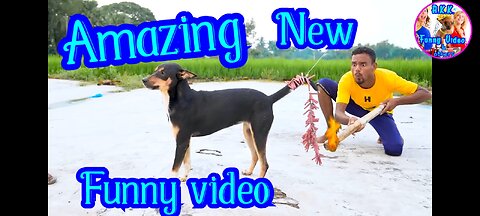 Amazing new funny video