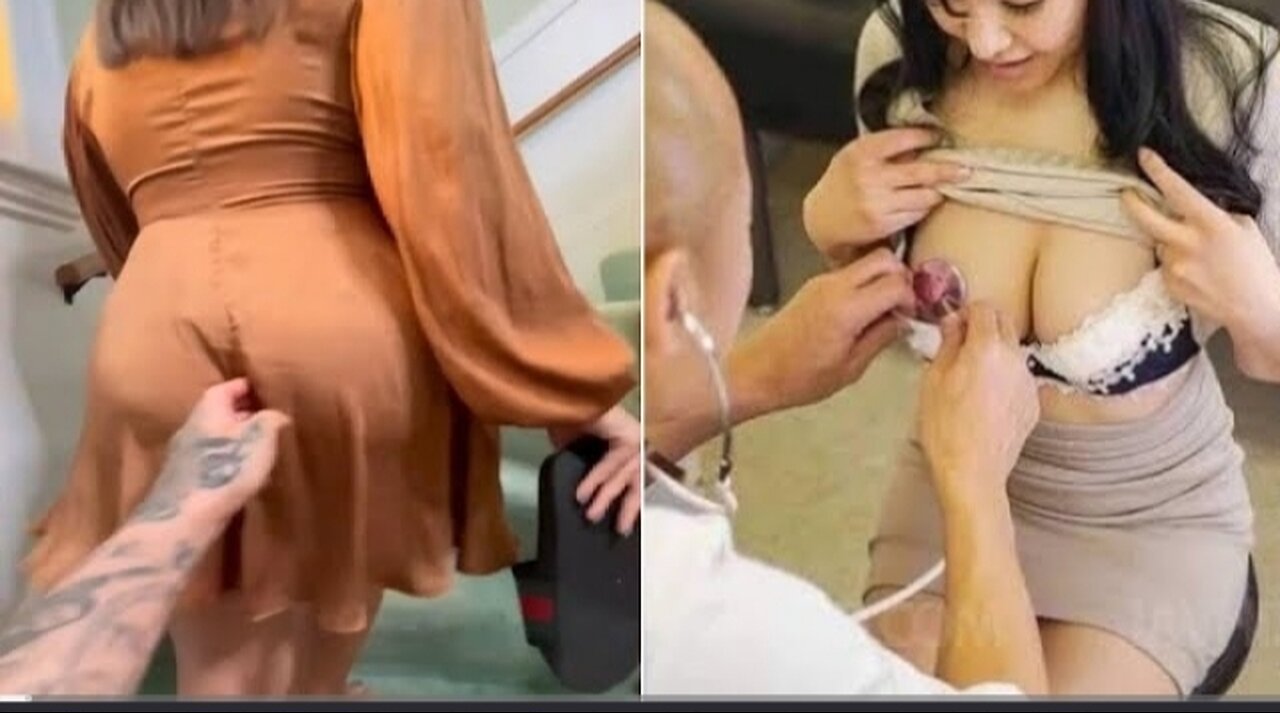 Funny moments of week / human and animal doing supid things 2023/2024