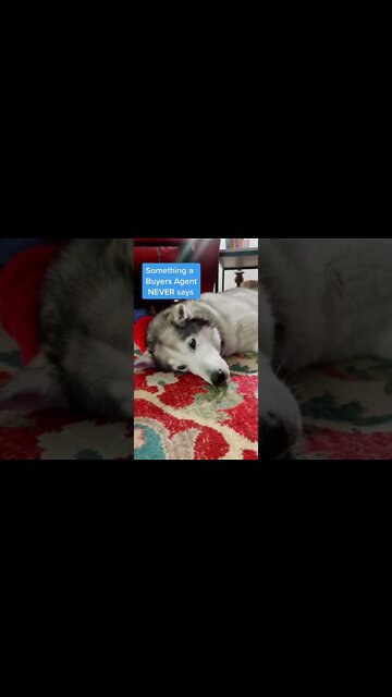 Looking at our phone all the the time … #zoellerteam #realtoroftiktok #wisconsinrealtor #jenniferzo