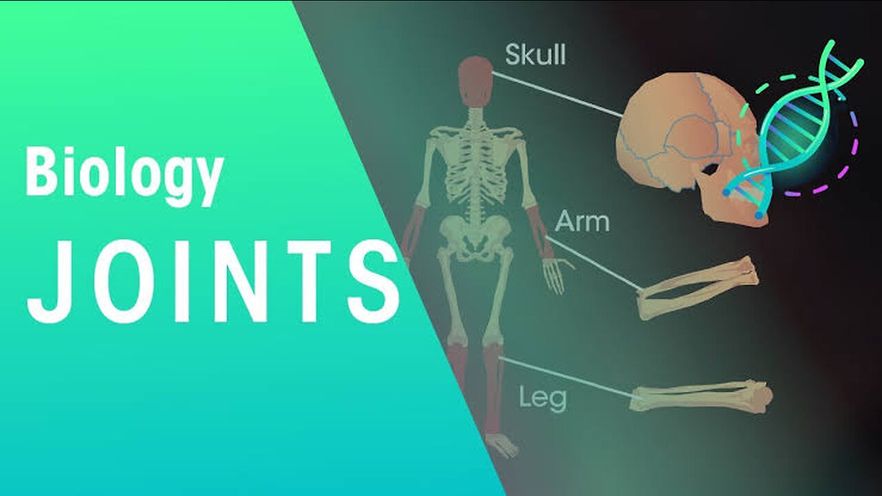 An introduction of joints