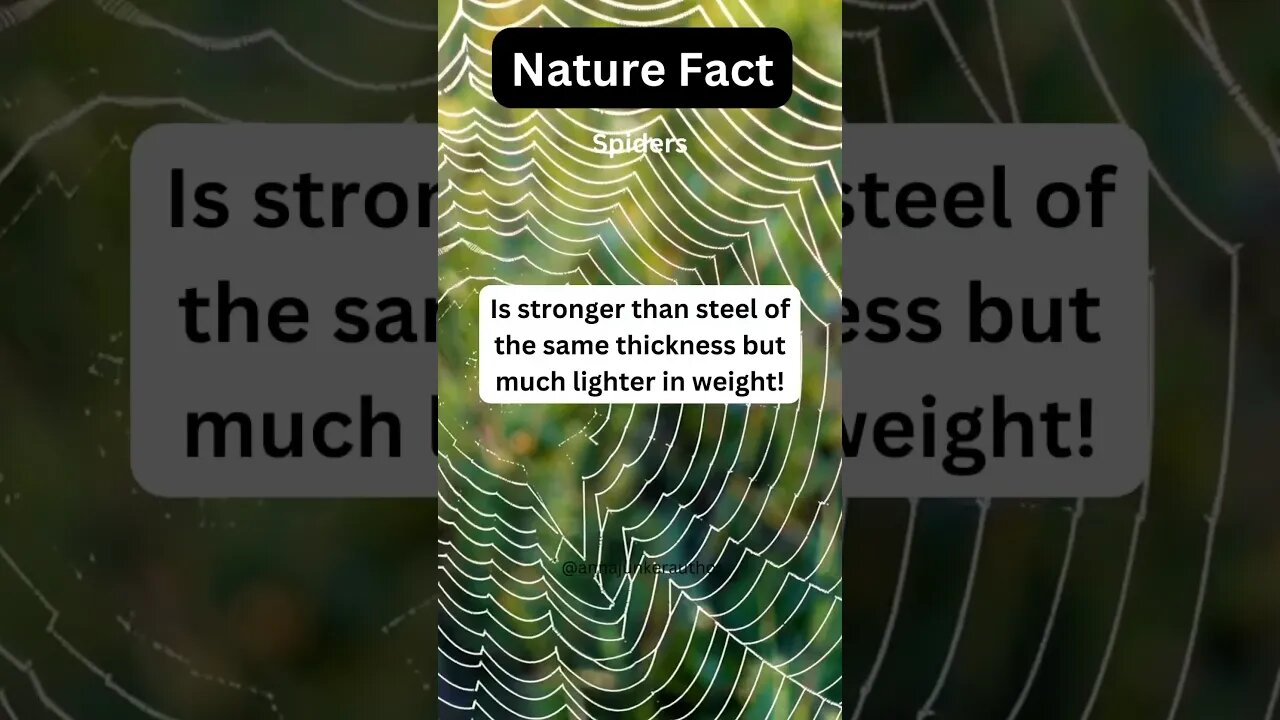 Did You Know This Crazy Silk Nature Fact? #shorts #naturefacts #silk