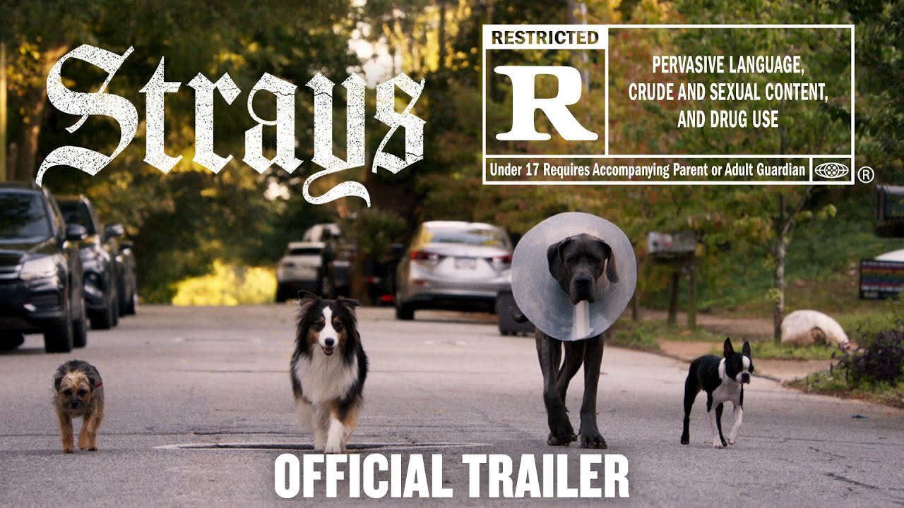 Strays | Official F***ing Trailer [HD]