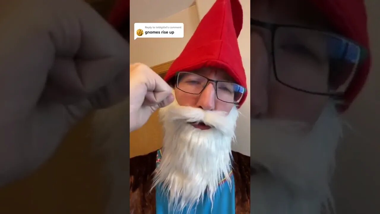 Gnomes RISE!!!!!