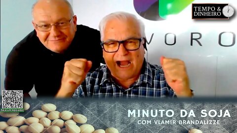 Milho Safrinha evoluindo bem e poucos vendendo