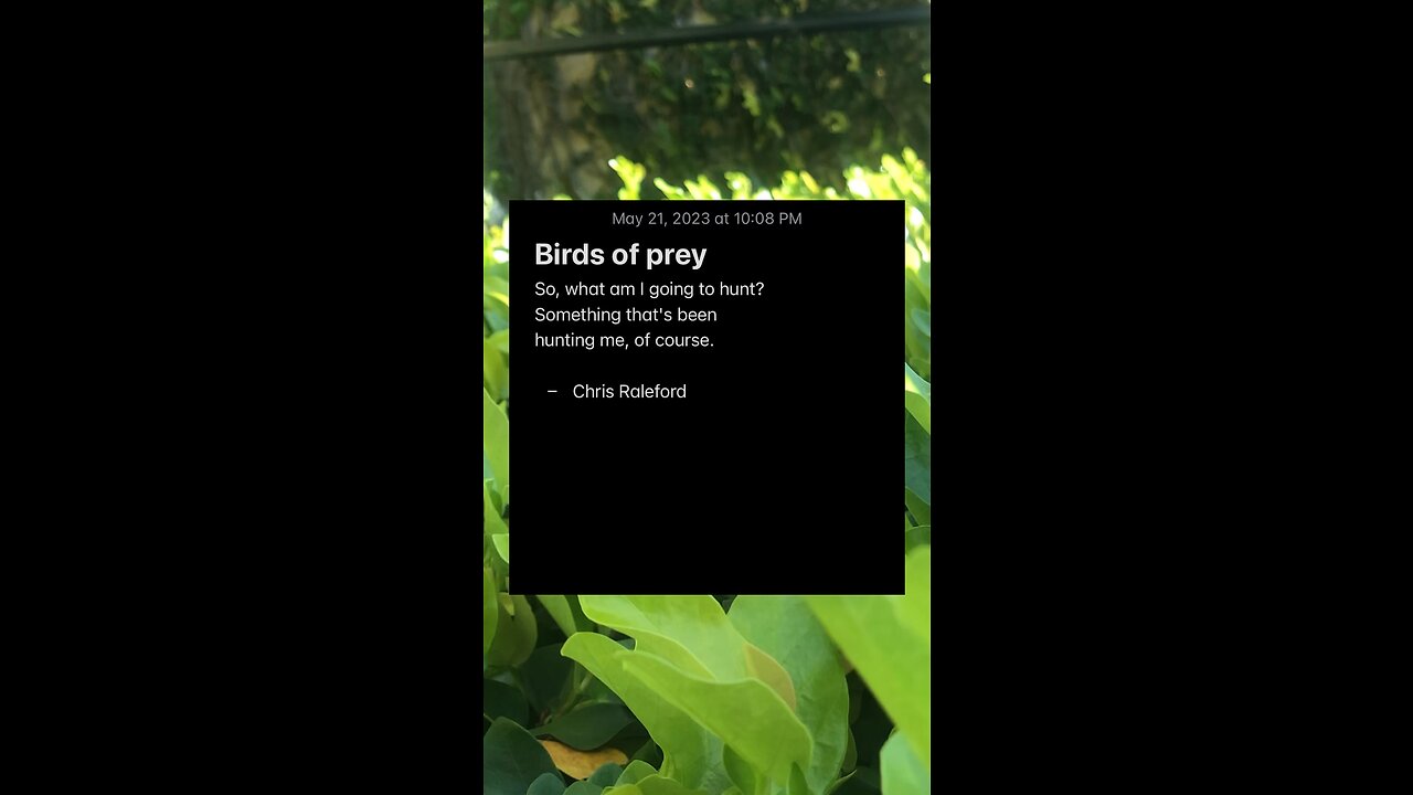 Birds of prey