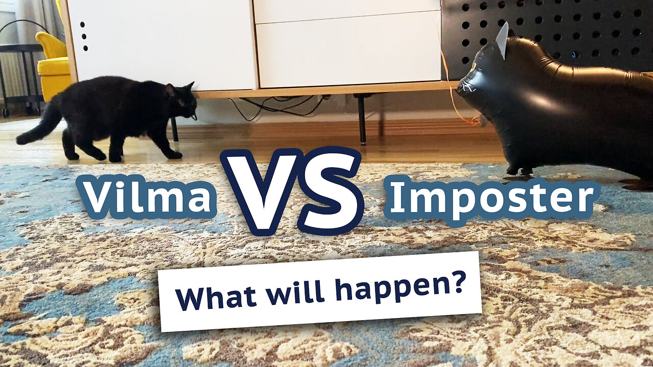 Vilma VS Imposter!