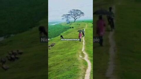 nice Bangladesh.. Bangladesh beautiful photo pic clayson