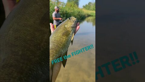 Smallmouth Release #smallmouthbassfishing #smallmouthfishing #smallies #creekfishing #creekfire