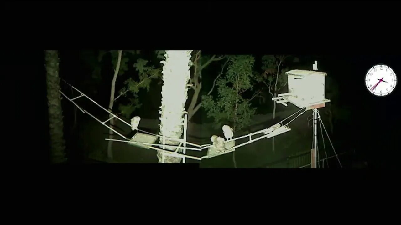 Fun in the middle of the night. Starring: Patty, Ivy, and Olivia 5-24-22