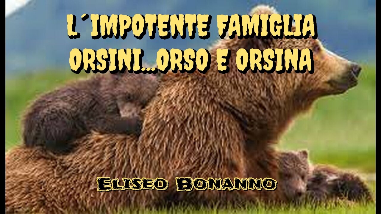 L´IMPOTENTE FAMIGLIA ORSINI...ORSO E ORSINA