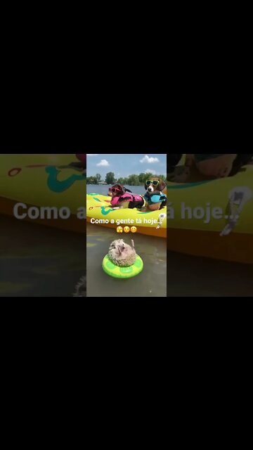 Como estamos hoje!🫣☺️😊