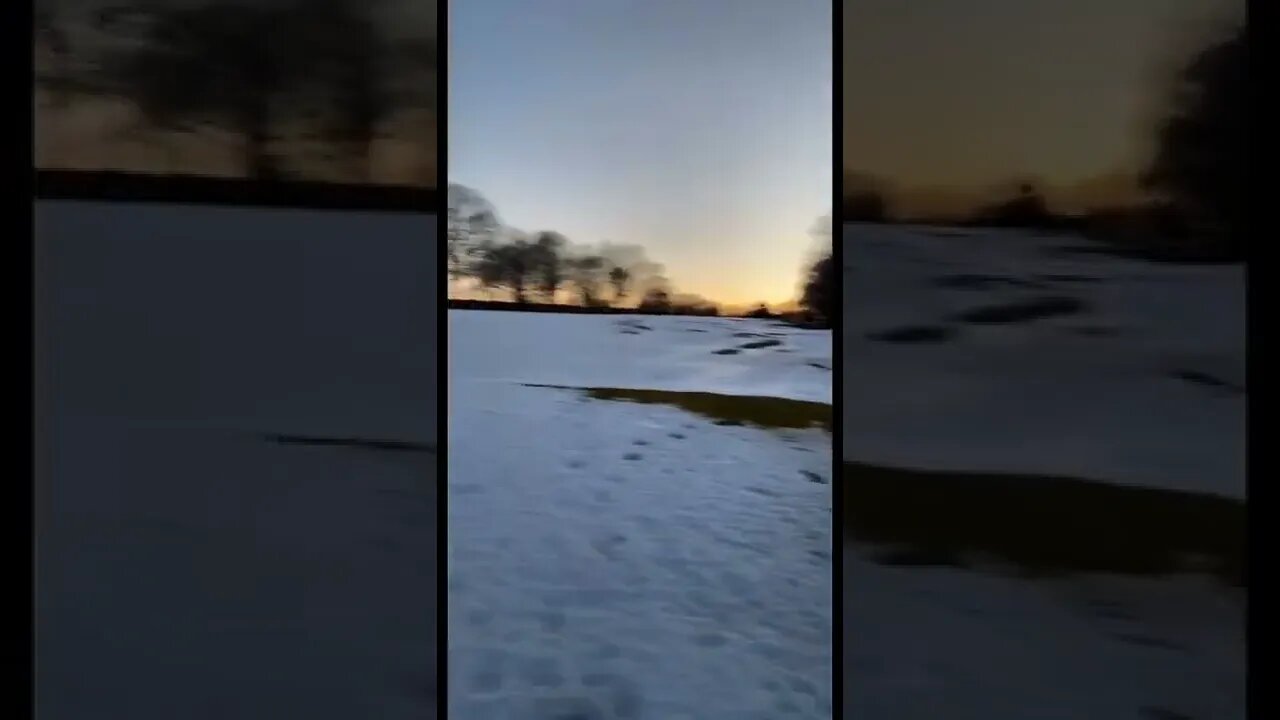 Exploring a snowy wonderland