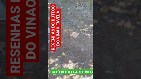 RESENHAS DO BUTECO DO VINAO FAVELA -TATÚ BOLA (PARTE #01)