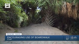 Martin County beachgoers asked to stop using manmade path