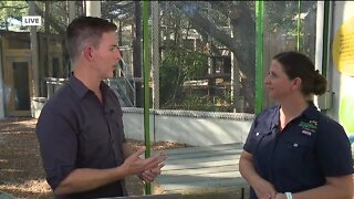 ZooTampa discusses conservation exhibit