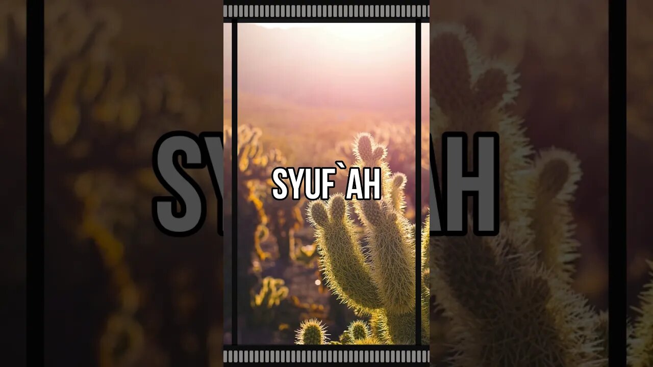 Syuf`ah