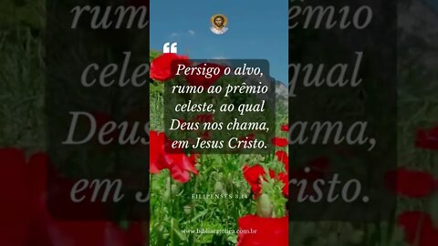 Filipenses 3,14 - Persigo o alvo, rumo ao prêmio celeste, ao qual Deus nos chama, em Jesus Cristo.