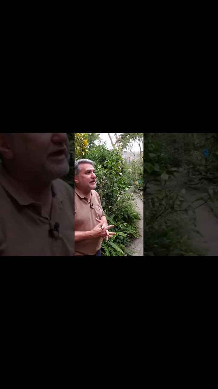 As lembranças de Pedrinho (Marcello Patelli) na casa do sítio do picapau amarelo