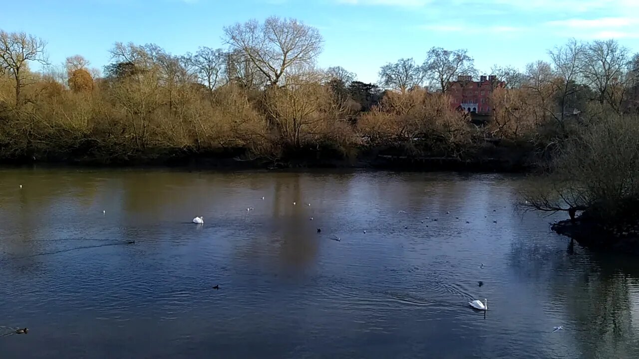 A walk by the Thames in Brentford