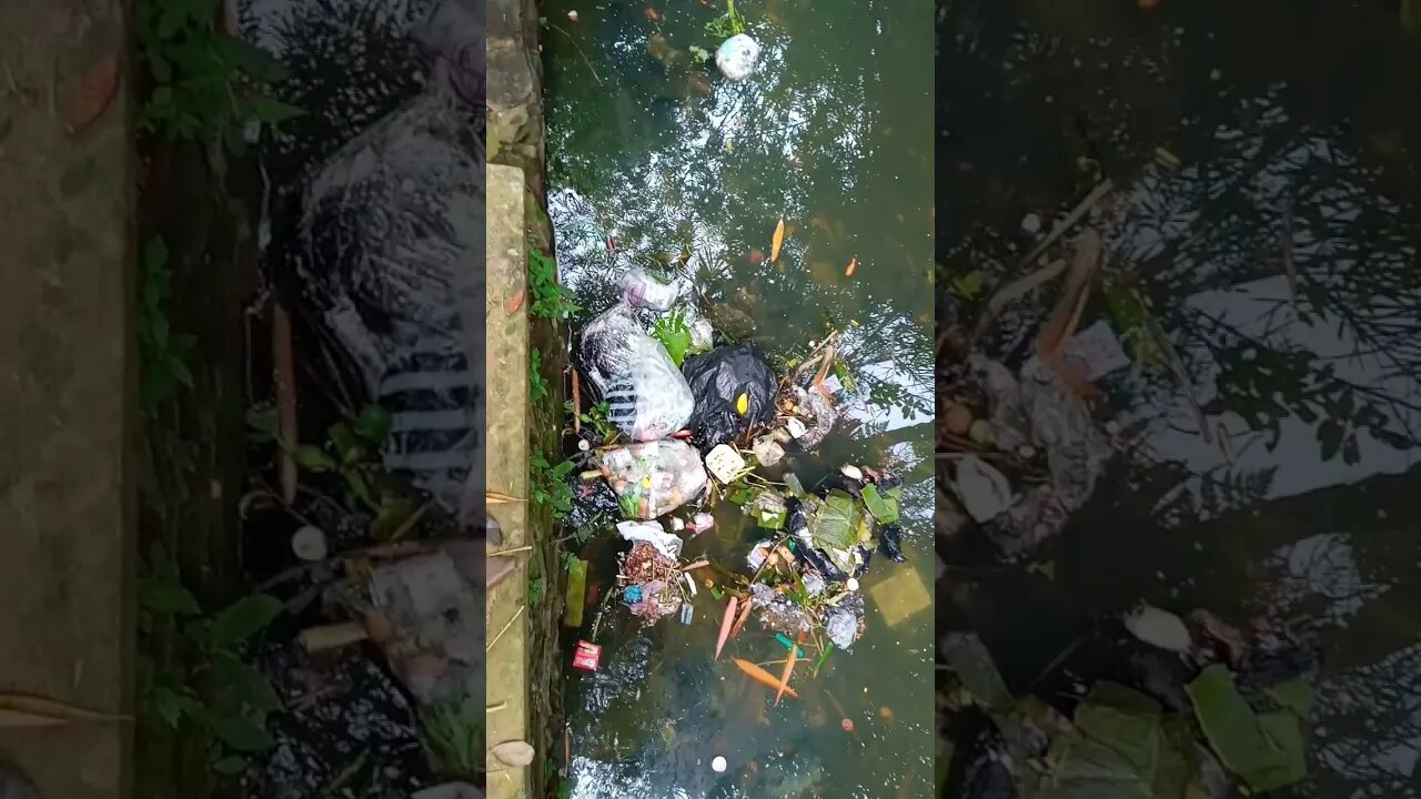 tempat sampah