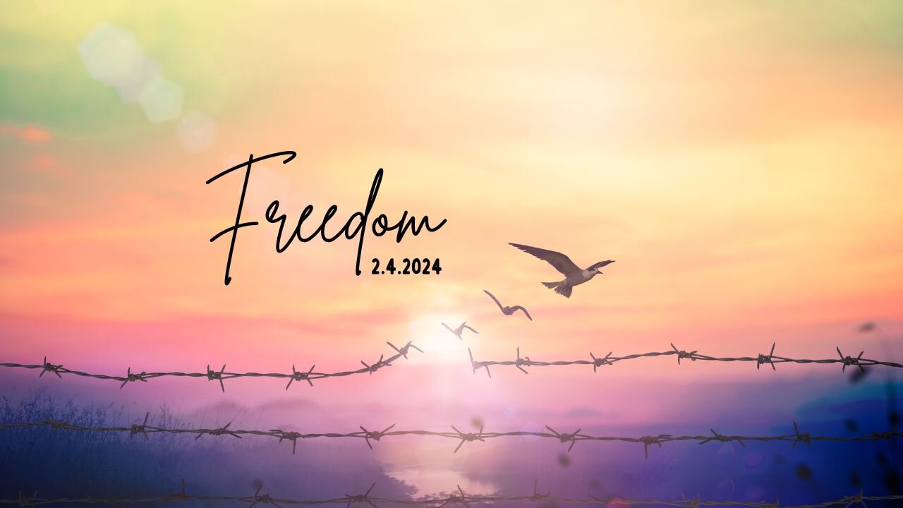 Freedom