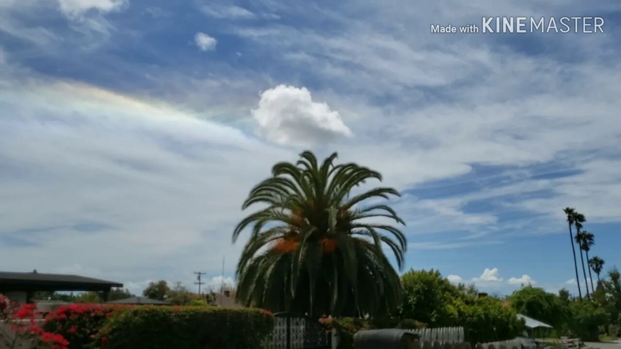 Circumhorizontal arc / "fire rainbow"