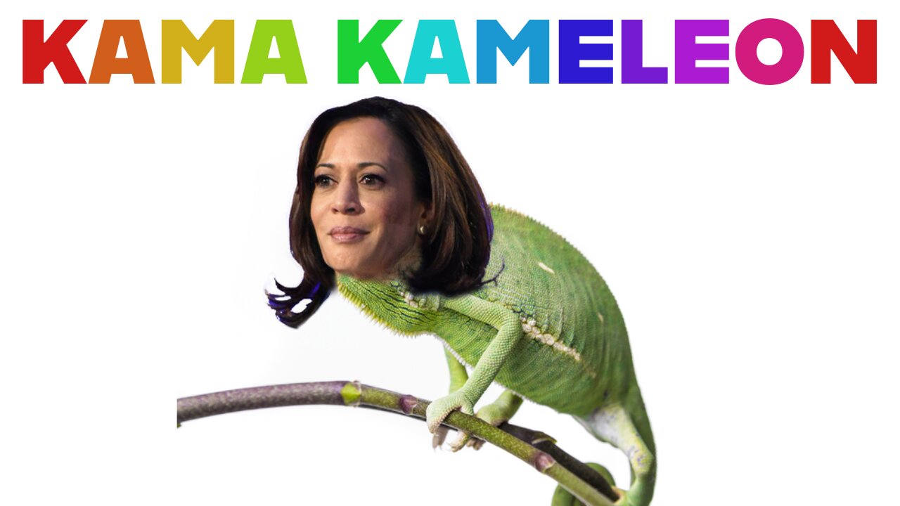 KAMA KAMA KAMA KAMELEON