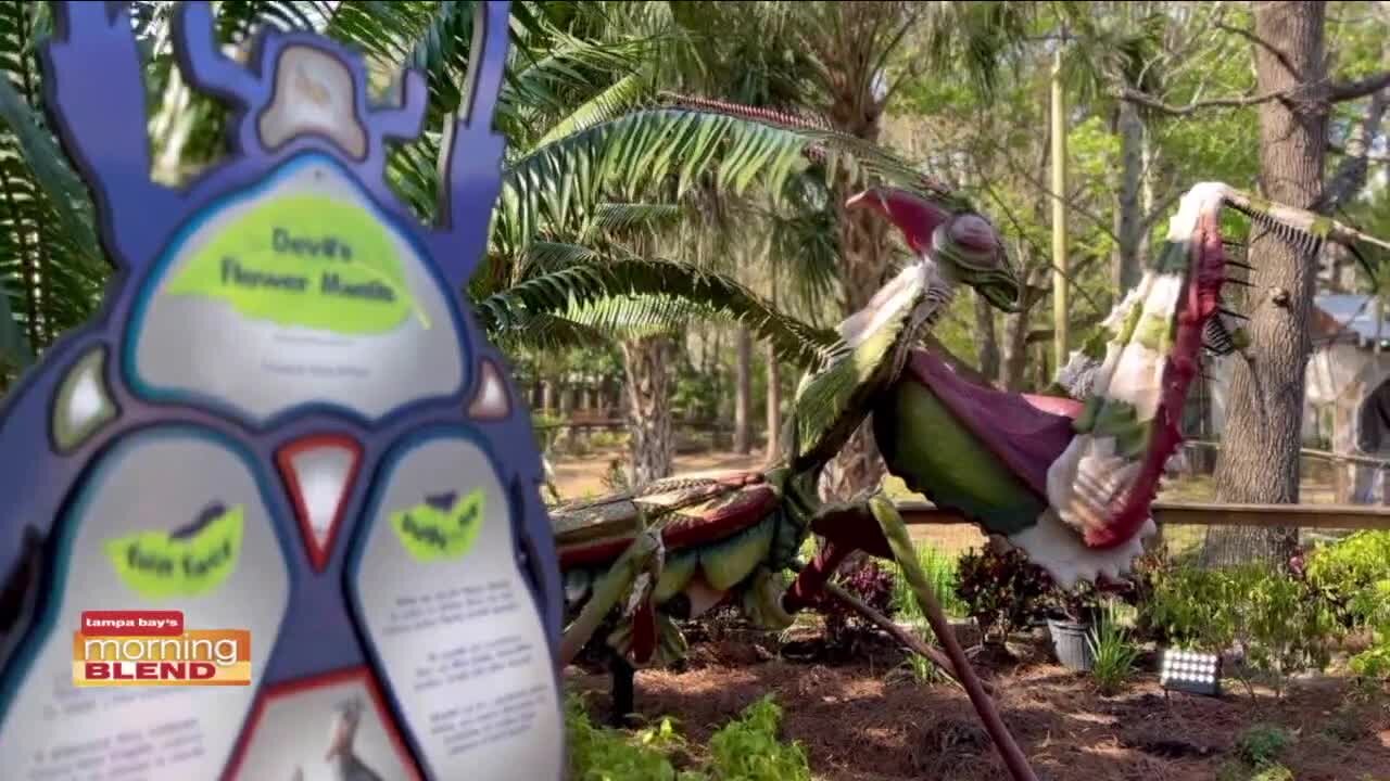 Bugtopia | Morning Blend