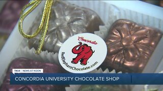 Concordia University students start chocolate company to learn about the world of business