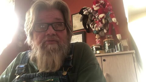 Free Shipping Adoption Time