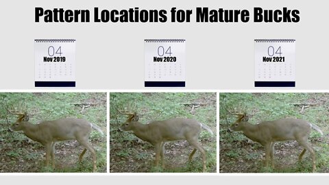 How long does it take to pattern a Buck in a Location?