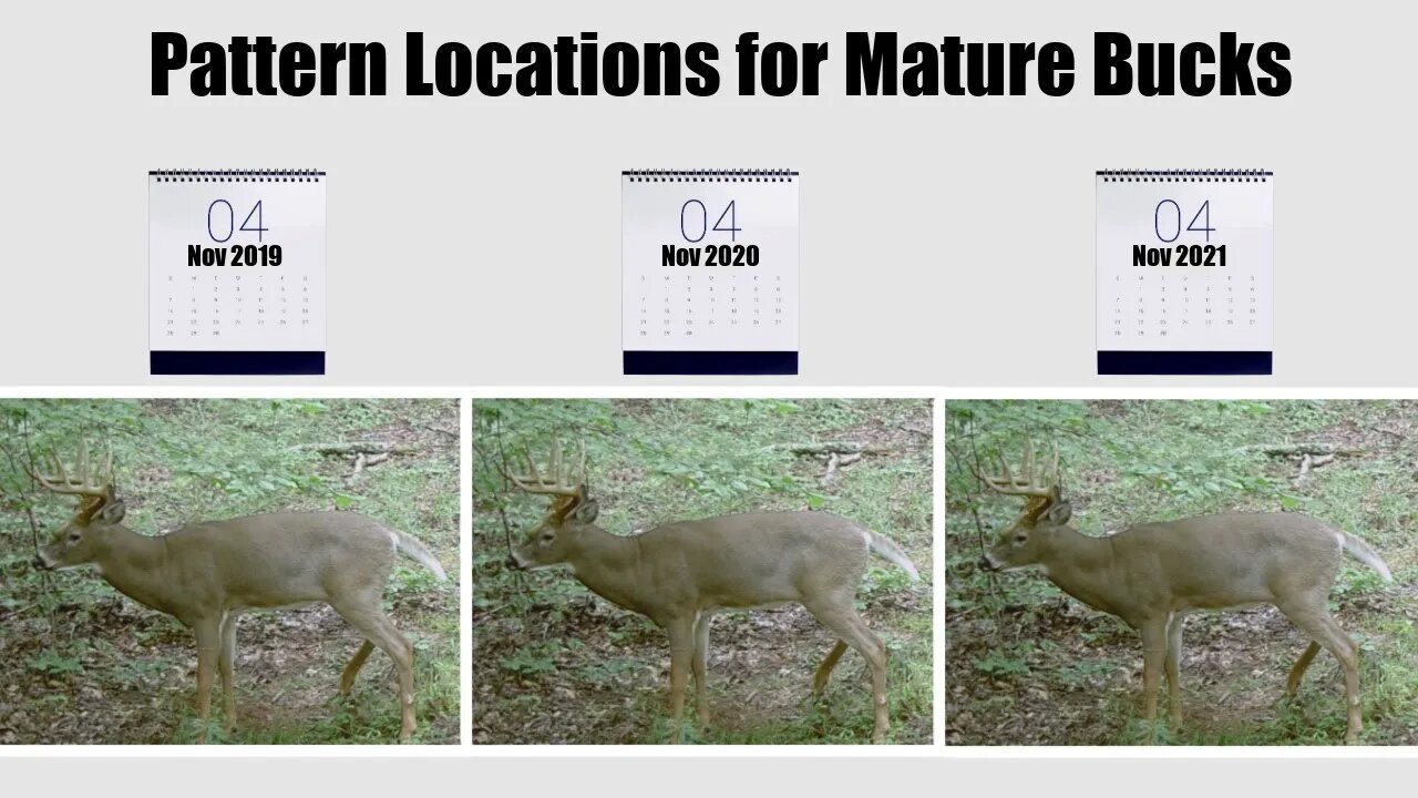 How long does it take to pattern a Buck in a Location?