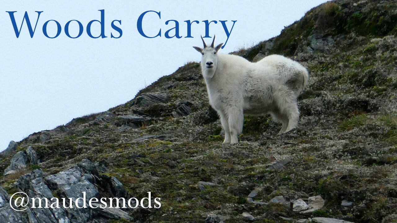 Woods Carry Loads: Bears IRL