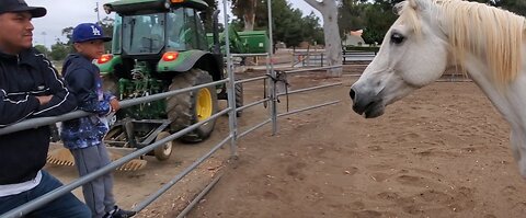 Public Park Tractor Work Too Close for Comfort