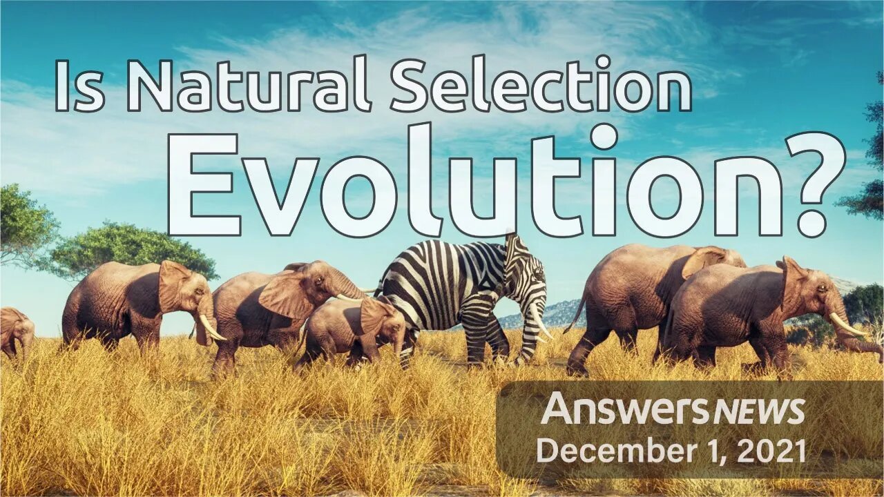 Is Natural Selection Evolution? - Answers News: December 1, 2021