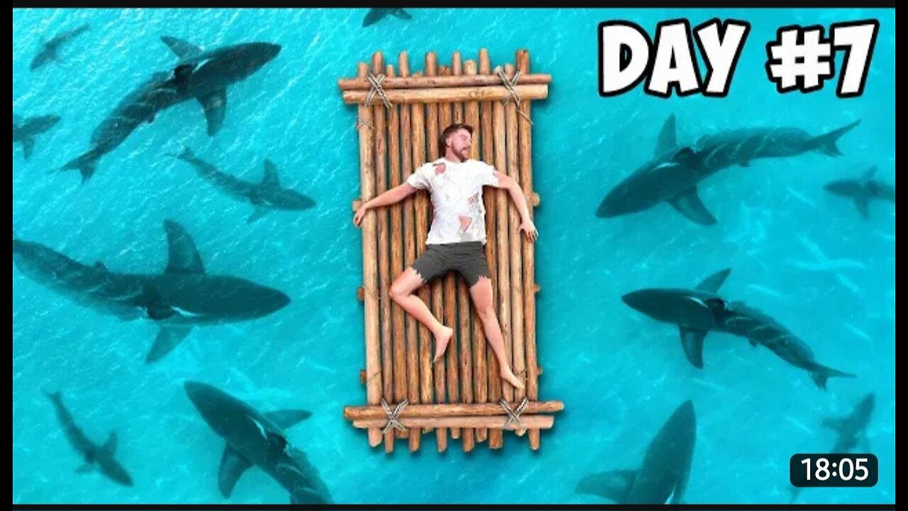 7 days standing on sea Mrbeast challenge 😱😱🔥🦈🦈