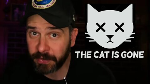 The night Steve Shive's cat died